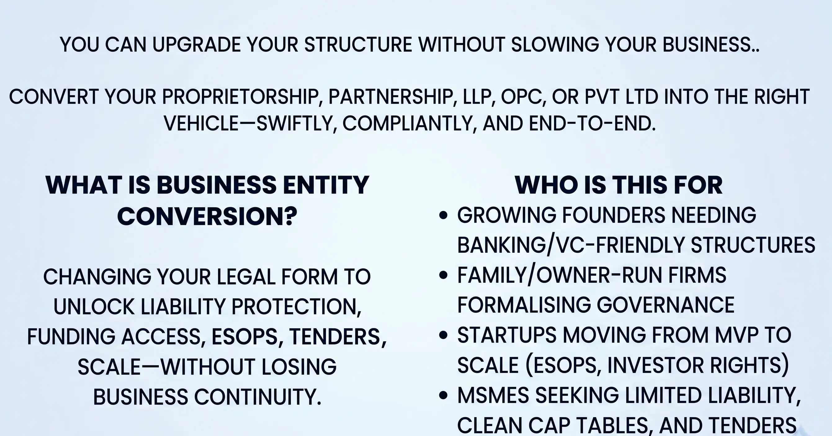 What is business entity conversion